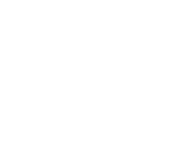 AP Recovery Audit Execution Icon