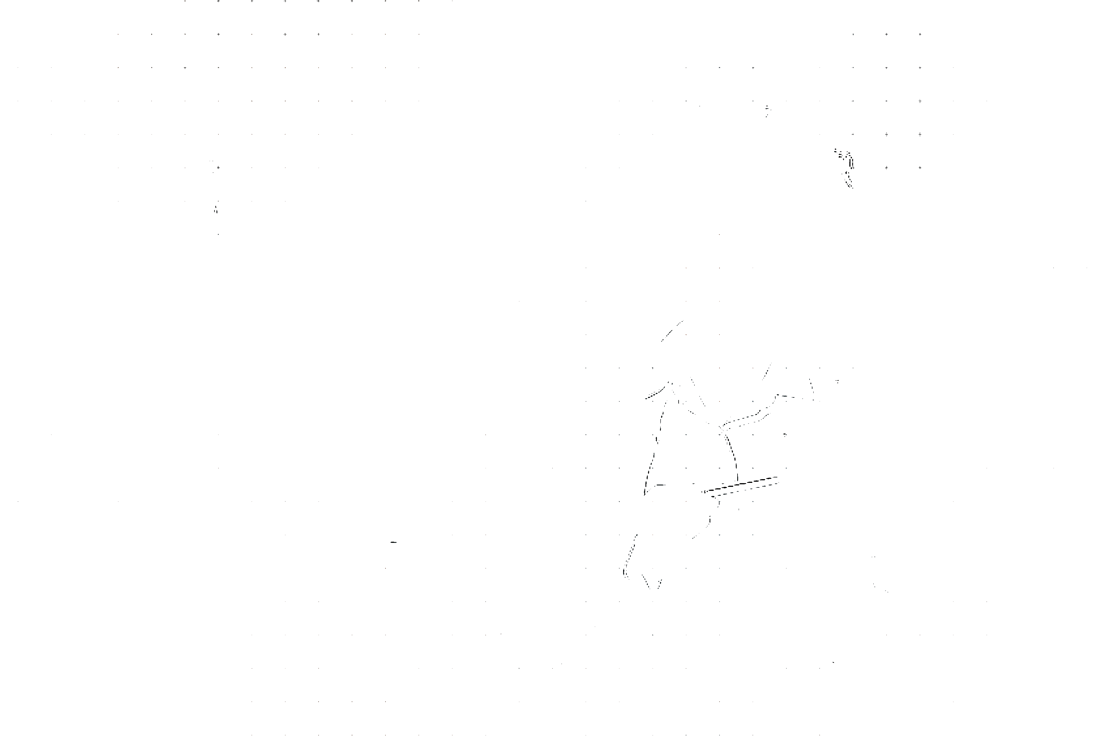 Animation Frame